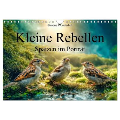 Kleine Rebellen - Spatzen im Porträt (Wandkalender 2027 DIN A4 quer), CALVENDO Monatskalender