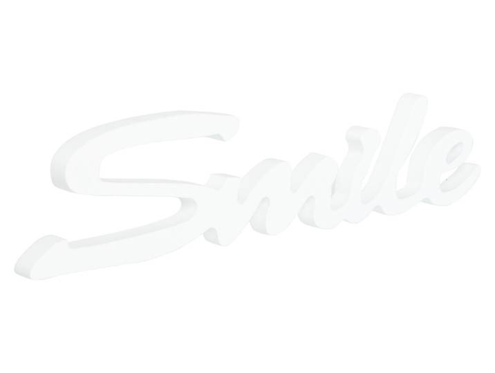 Schriftzug magnetis. Smile weiss