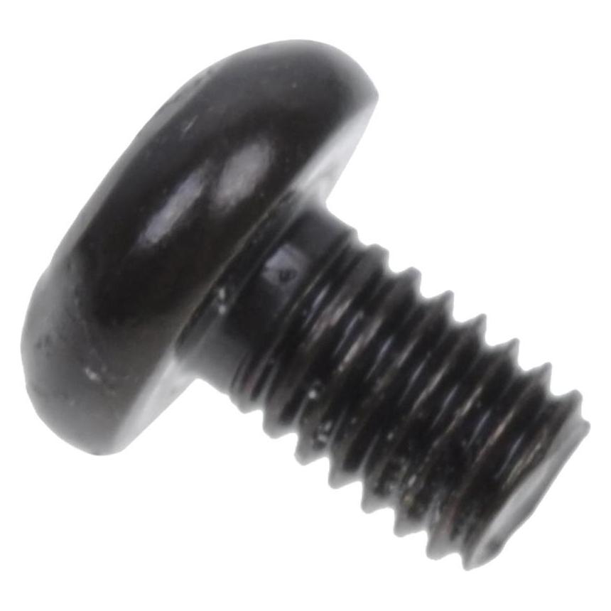 Aquatuning Schraube ISO 7380 M3 x 4 Innensechskant Linsenkopf - schwarz (94620)