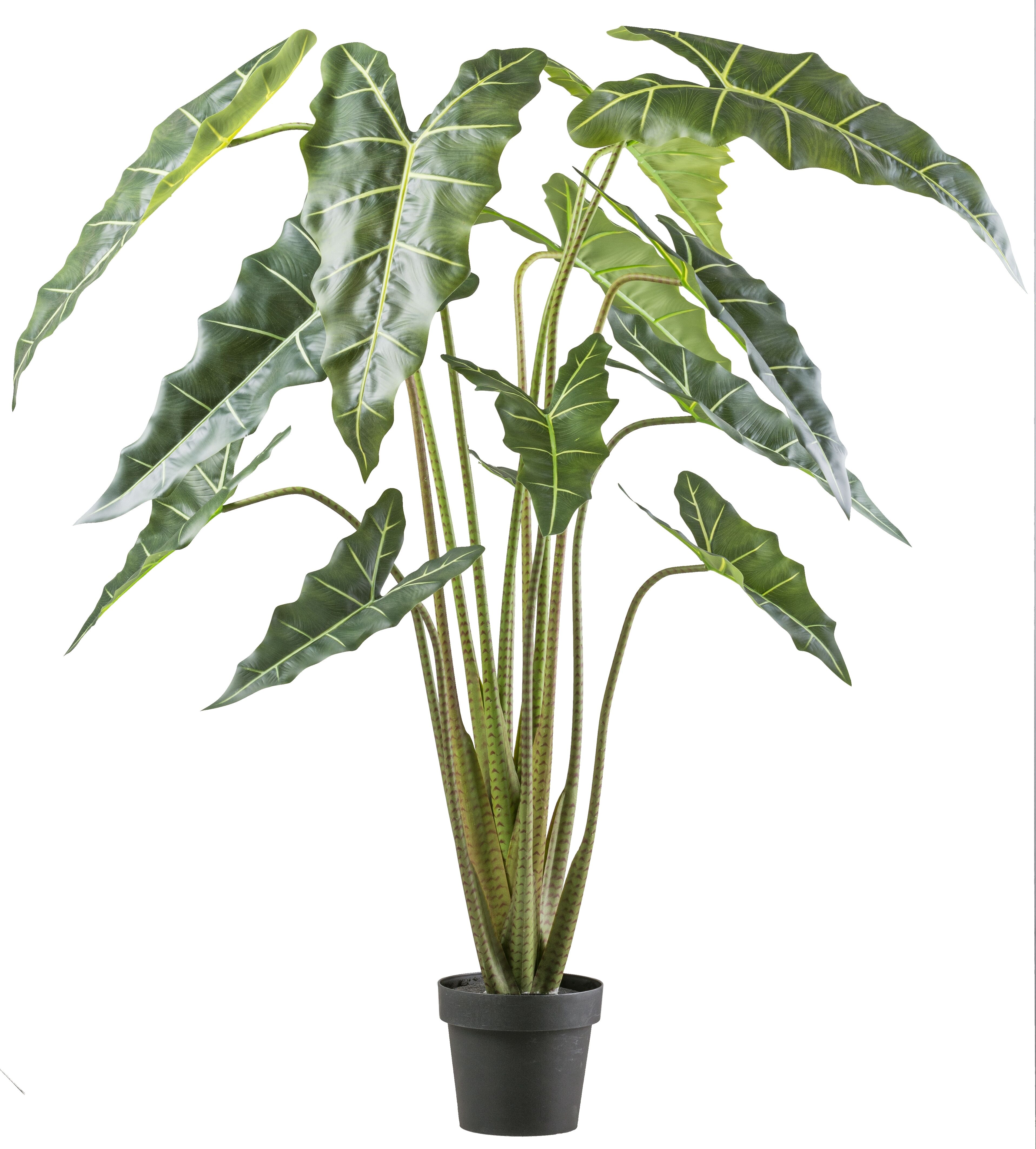 Kunstpflanze CREATIV GREEN "Alocasia zebrina sarian", grün, H:160cm, Kunststoff, Kunstpflanzen, Kunstpflanze, mit gestreiftem Stamm