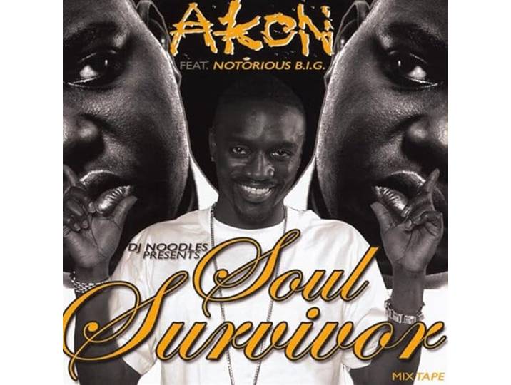 Akon - Soul Survivor