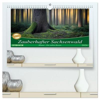 Zauberhafter Sachsenwald (hochwertiger Premium Wandkalender 2026 DIN A2 quer), Kunstdruck in Hochglanz