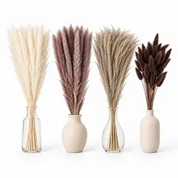 Relaxdays Getrocknetes Pampasgras im 144er Set Braun,Creme,Dunkelbraun