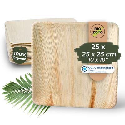 BIOZOYG 25 Stück Einwegteller 25x25cm Palmblatt-Teller, quadratisch, biologisch abbaubar, umweltfreundlich, kompostierbar, Wegwerfteller