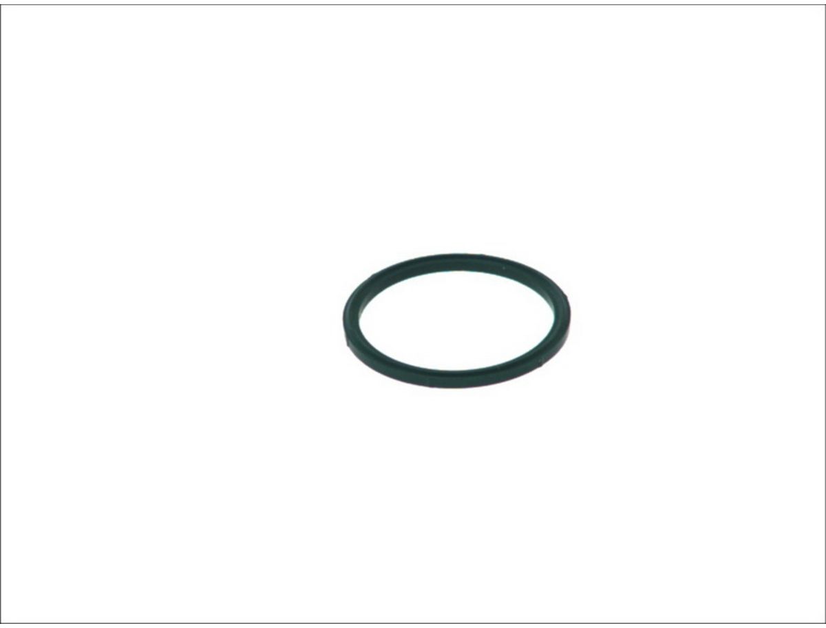 Dichtung BOSCH F 00R 0P1 246