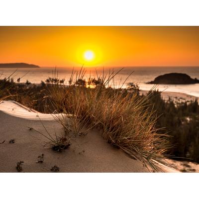 Fototapete PAPERMOON "Glowing Sun Bush View", bunt, B:2m L:1,49m, Vlies, Tapeten