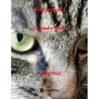 Jetzt spreche ich ! FIV Kater Bailey berichtet aus seinen Leben, Gebundene Ausgabe von Bailey Wald, Tredition, 978-3-384-18513-6
