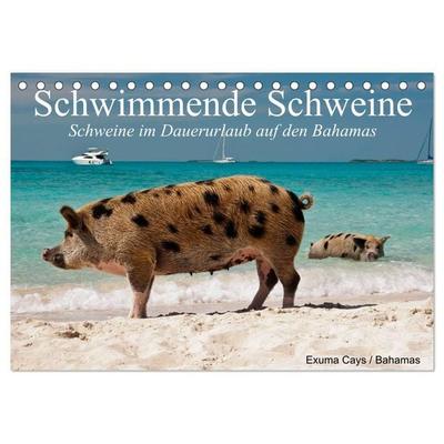 Schwimmende Schweine (Tischkalender 2026 DIN A5 quer), CALVENDO Monatskalender