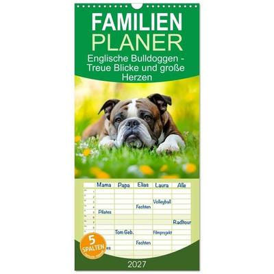 Familienplaner 2027 - Englische Bulldoggen - Treue Blicke und große Herzen mit 5 Spalten (Wandkalender, 21 x 45 cm) CALVENDO