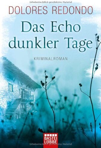 Dolores Redondo - Das Echo dunkler Tage: Kriminalroman - Preis vom 12.10.2026 11:37:12 h