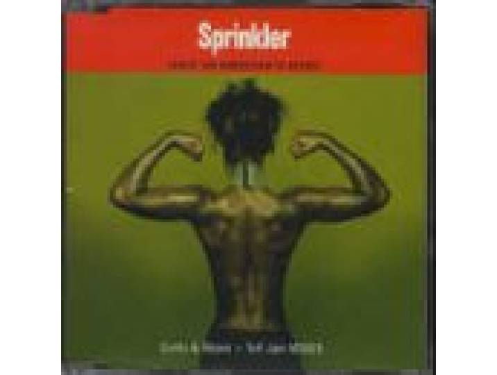 Leave 'em something to desire [Single-CD]