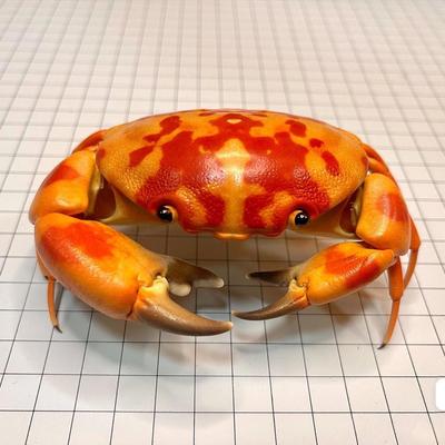 Uplift Picks Real Crab Specimen Display Taxidermy Marine Collectible Home Decor 29