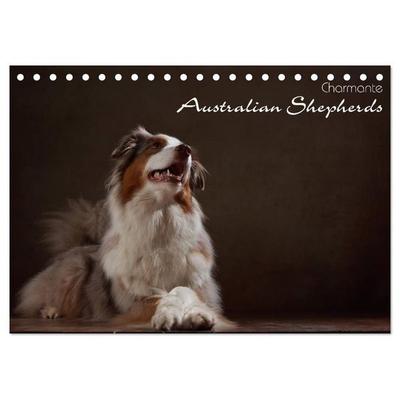 Charmante Australian Shepherds (Tischkalender 2027 DIN A5 quer), CALVENDO Monatskalender