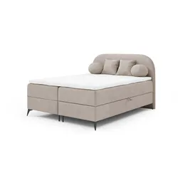 BOXBETT Gorgia