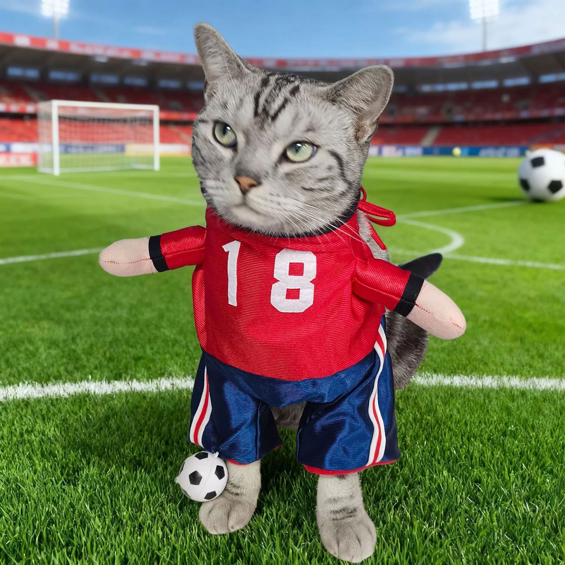 INF Halloween Fußballspieler Haustierkostüm - Lustiges Katzen- und Hundeoutfit für Partys M