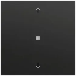 Gira Bedienelement 1-fach schwarz 538274