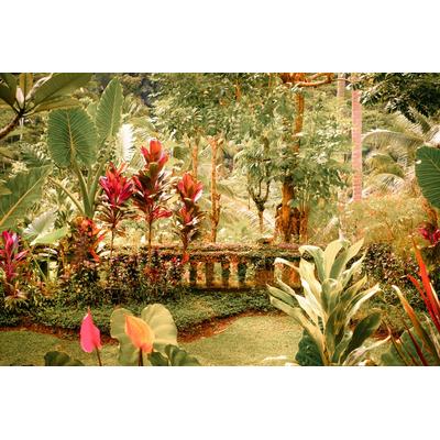 Fototapete PAPERMOON "Fantasie tropischer Garten", bunt, B:4m L:2,6m, Vlies, Tapeten