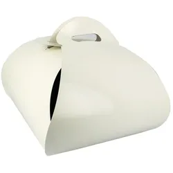 MONOUSO - Pappkarton Schmetterlingstorte 30x30x15cm (25 Stück)