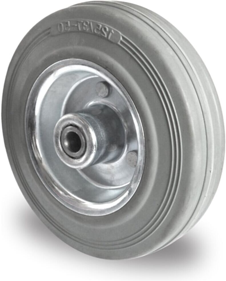 CASCOO Rad ø 100 mm Serie SWR2 Rollenlager (100SWR2R0N)
