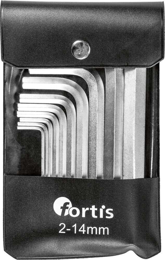 Jeu de clés Allen FORTIS 4317784729987 10 pièces 2-14 mm