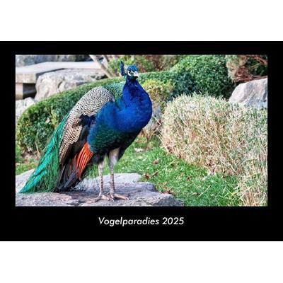 Vogelparadies 2025 Fotokalender DIN A3