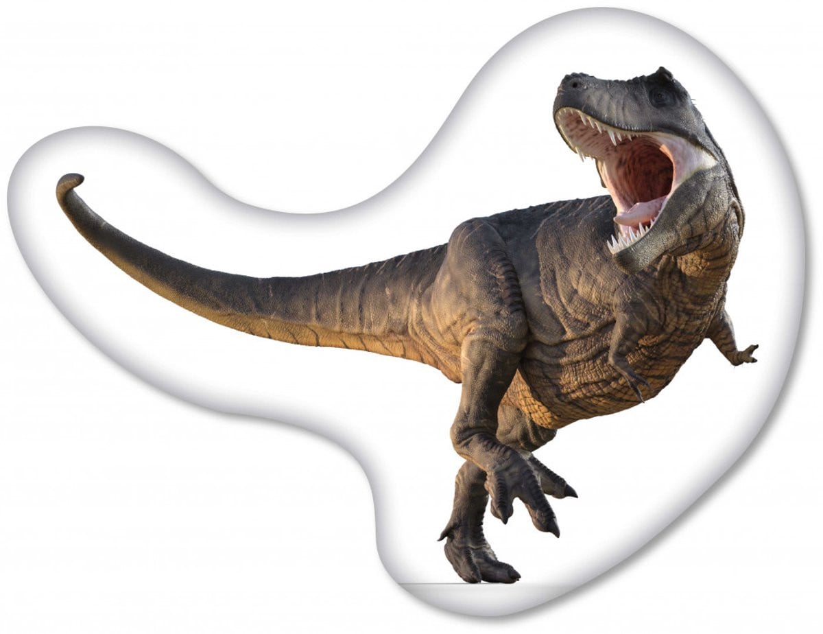 Dinosaurus sierkussen 37 x 28 cm