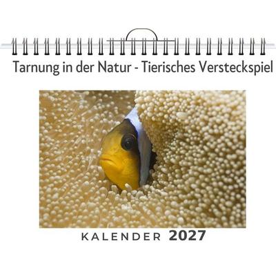 Tarnung in der Natur - Tierisches Versteckspiel