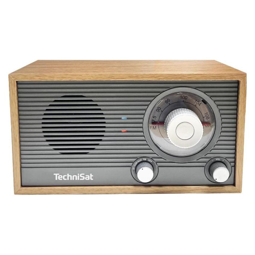TechniSat CLASSIC 205 grau/ Golden Eiche (Bluetooth) (V058A8F)