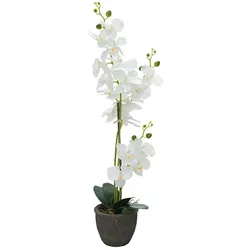 EUROPALMS Orchidee, Kunstpflanze, weiß, 80cm