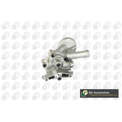 BGA Ölpumpe LP0409 für VW