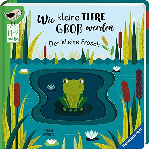 Gabriele Clima - Wie kleine Tiere groß werden: Der kleine Frosch (Edition Piepmatz) - Preis vom 01.10.2026 17:08:56 h