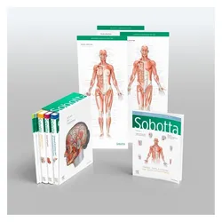 Sobotta Atlas of Anatomy, Package, 17th ed., English/Latin, Fachbücher von Friedrich Paulsen, Jens Waschke