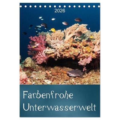 Farbenfrohe Unterwasserwelt (Tischkalender 2026 DIN A5 hoch), CALVENDO Monatskalender