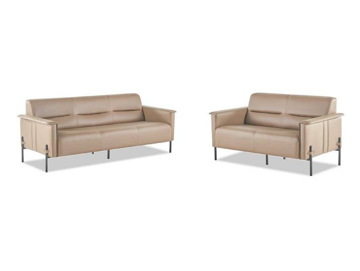 Xlmoebel Polstergarnitur Moderner 3-Sitzer und 2-Sitzer Ledersofas aus Edelstahl, (Polstergarnitur, 2-tlg., 3-Sitzer + 2-Sitzer), Made in Europa