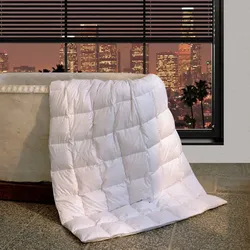 BettwarenShop Daunen Sommerdecke Canada leicht, Füllung: 100% Daunen 200x200 cm