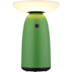 Globo, Gartenbeleuchtung, Solarleuchte Aluminium Grün, 1xled (1000 lm, IP54)