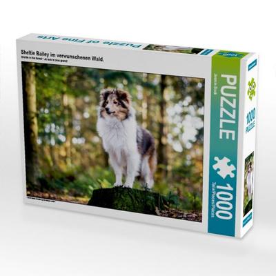 CALVENDO Puzzle Sheltie Bailey im verwunschenen Wald. | 1000 Teile Lege-Größe 64 × 48 cm Foto-Puzzle für glückliche Stunden