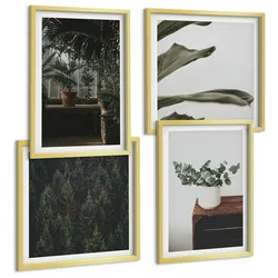 BILDER SET 4er Set - 50x50 cm & 40x60 cm Goldrahmen - Rustikale Topfpflanzen