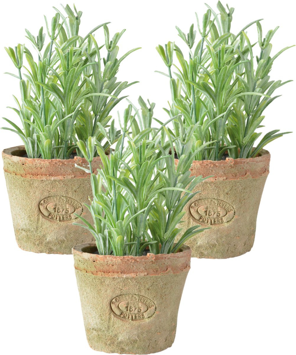 Set van 3 True to Nature kunstrosemarijn in oude terracotta potten, Hoogte: 16 cm
