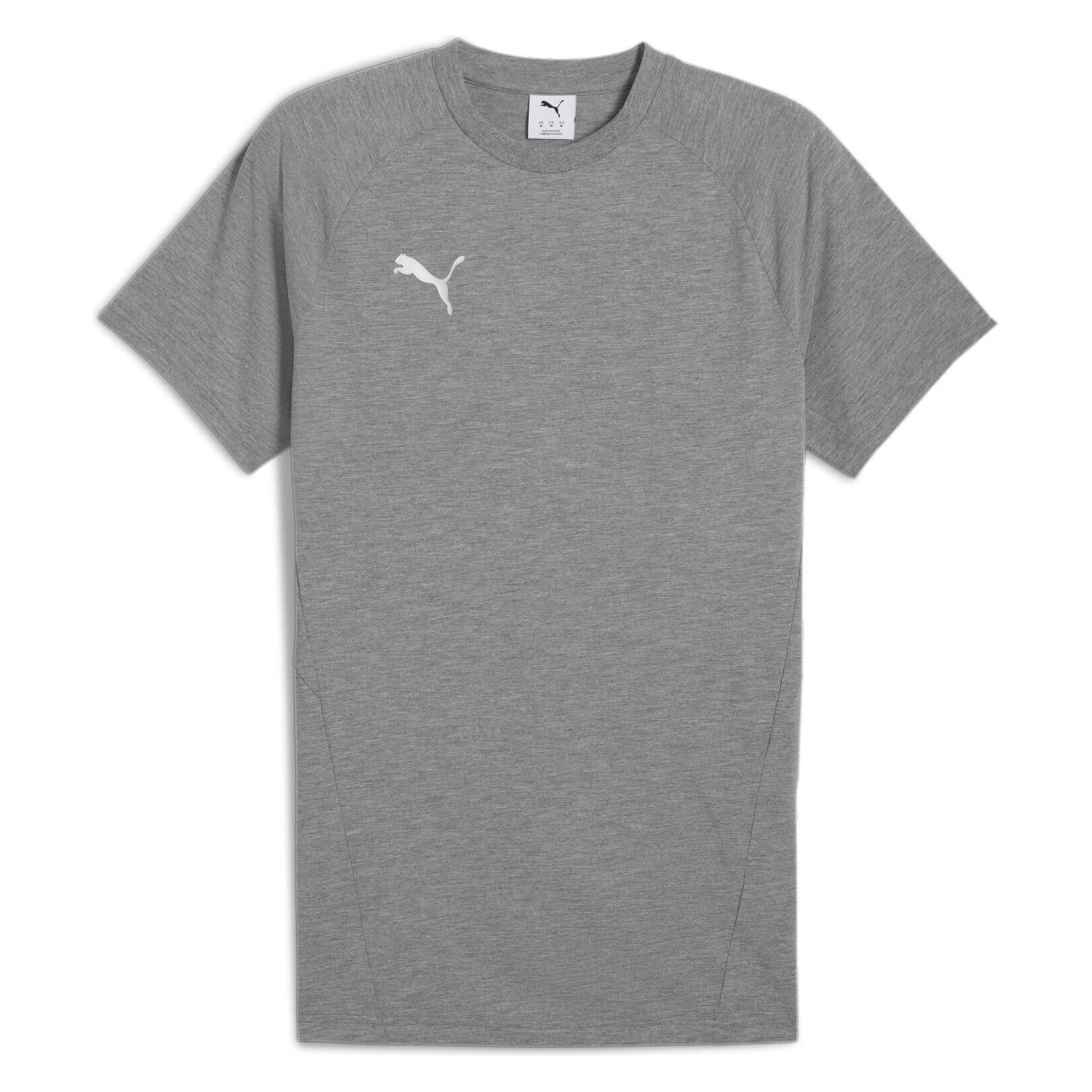 Puma teamEVOSTRIPE Tee (S) (659953)