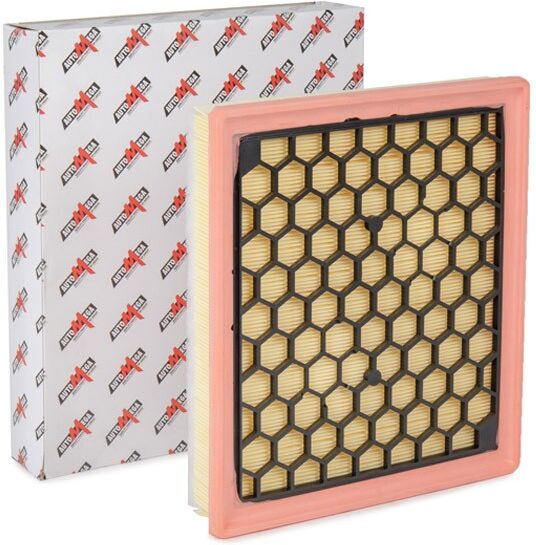 AUTOMEGA 180022010 Air filter