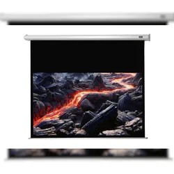 celexon Leinwand Motor Economy 280 x 158 cm