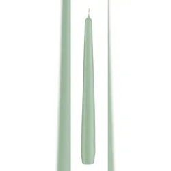 Spitzkerzen Seemoos Seafoam 29,5 x 2,3 cm, 12 Stück, Kopschitz Kerzen