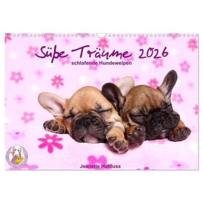 Süße Träume 2026 - schlafende Hundewelpen (Wandkalender 2026 DIN A3 quer), CALVENDO Monatskalender