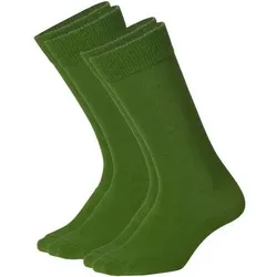 DILLY SOCKS Socken D-Compose 2er Set, Größe 43/46 in Grün Grün