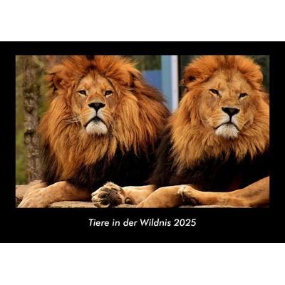 Tiere in der Wildnis 2025 Fotokalender DIN A3