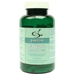 Laktase 12.000 FCC Kapseln 120 St