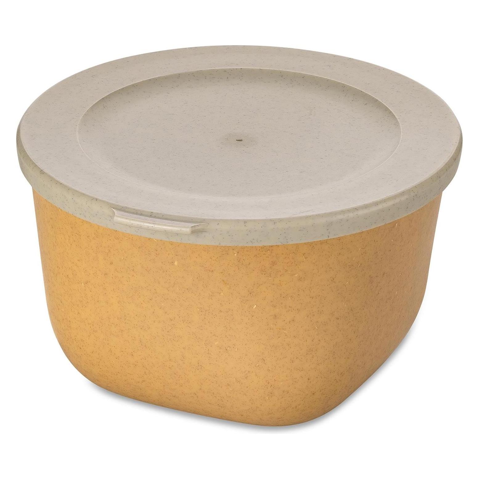 Koziol Vorratsdose Connect 1 l, Beige (1 l) (7870702)