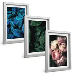 BILDER SET 3er Set - 20x30 cm Silberner Rahmen - Blätter, Blüten, verschiedene Farben