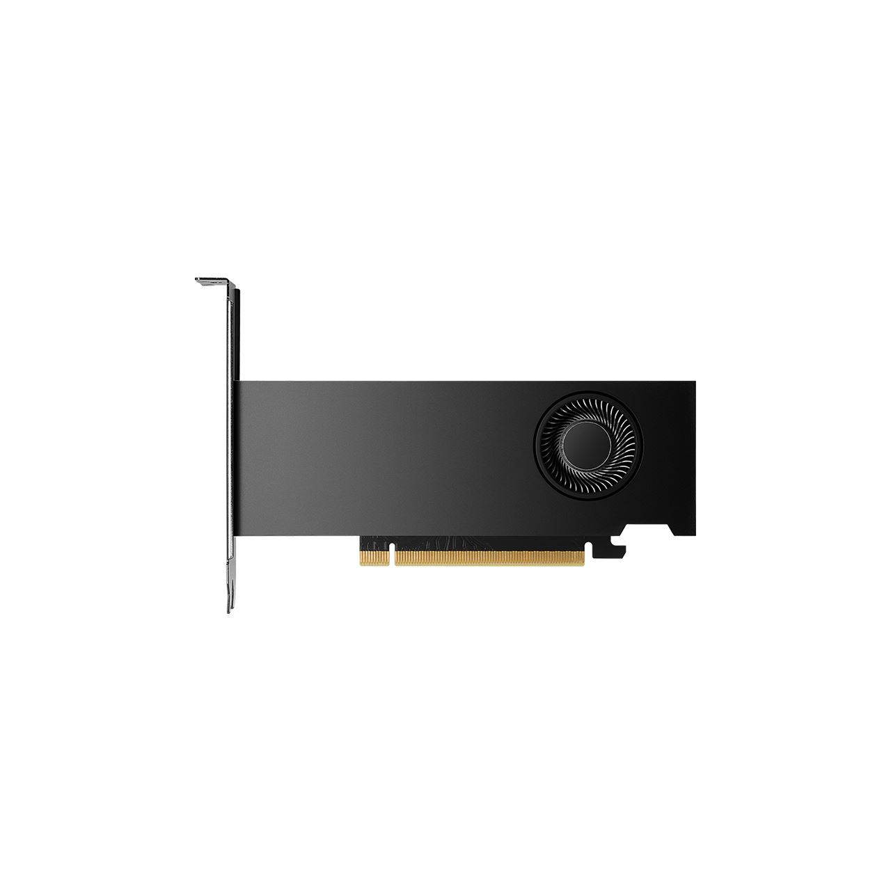 16GB NVIDIA RTX 2000 Ada Generation Aktiv PCIe 4.0 x16 (x8) (Retail)